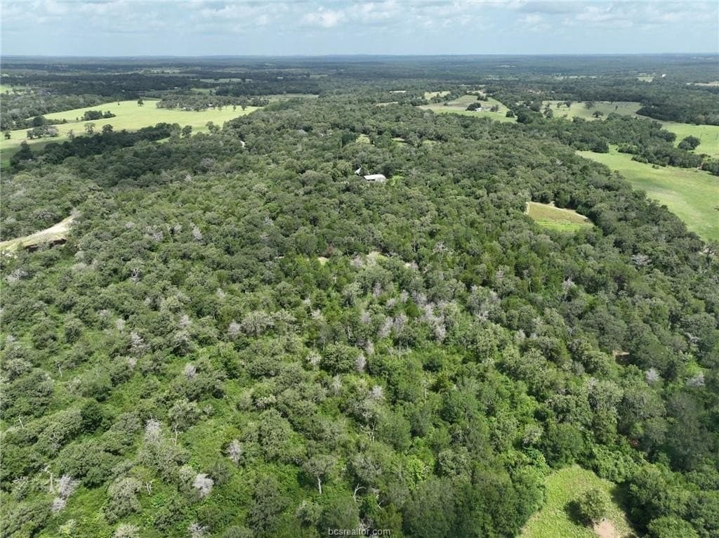 15 acres in Burleson County - photo 23