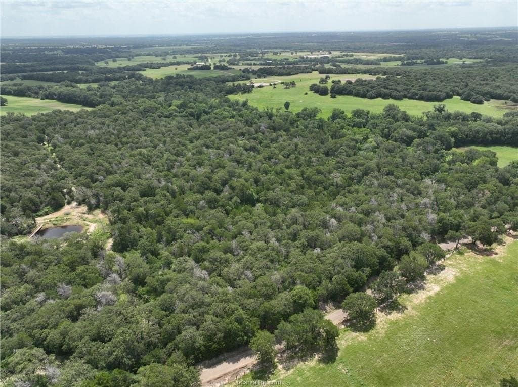15 acres in Burleson County gallery image 4