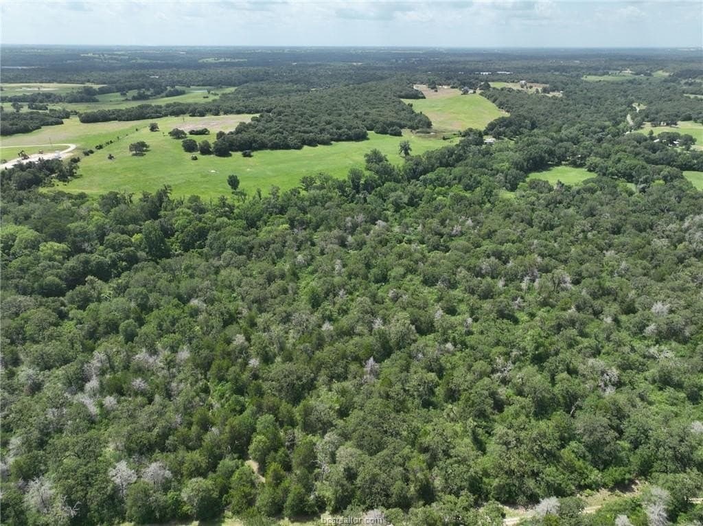 15 acres in Burleson County - photo 17
