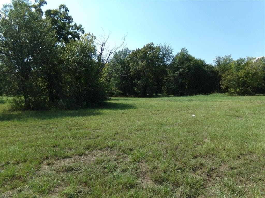 10.2 acres in Lamar County gallery image 4