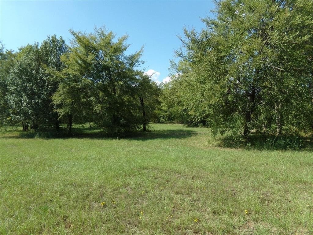 10.2 acres in Lamar County gallery image 3