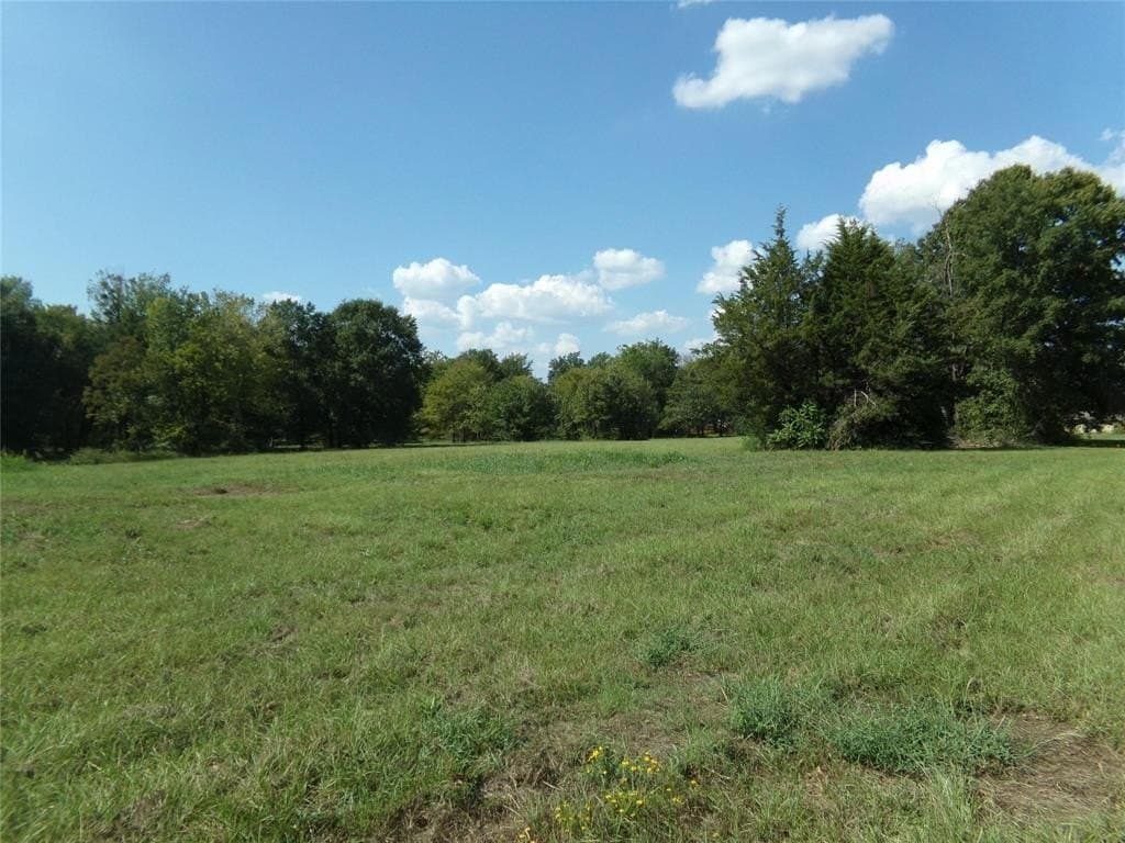10.2 acres in Lamar County gallery image 2