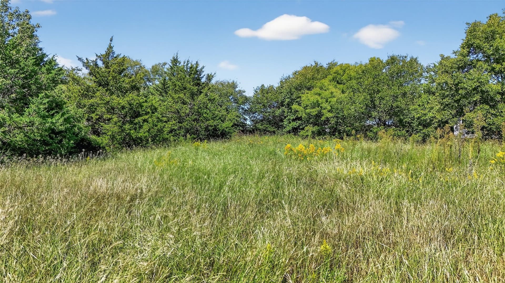 0.41 acres in Grayson County - photo 2