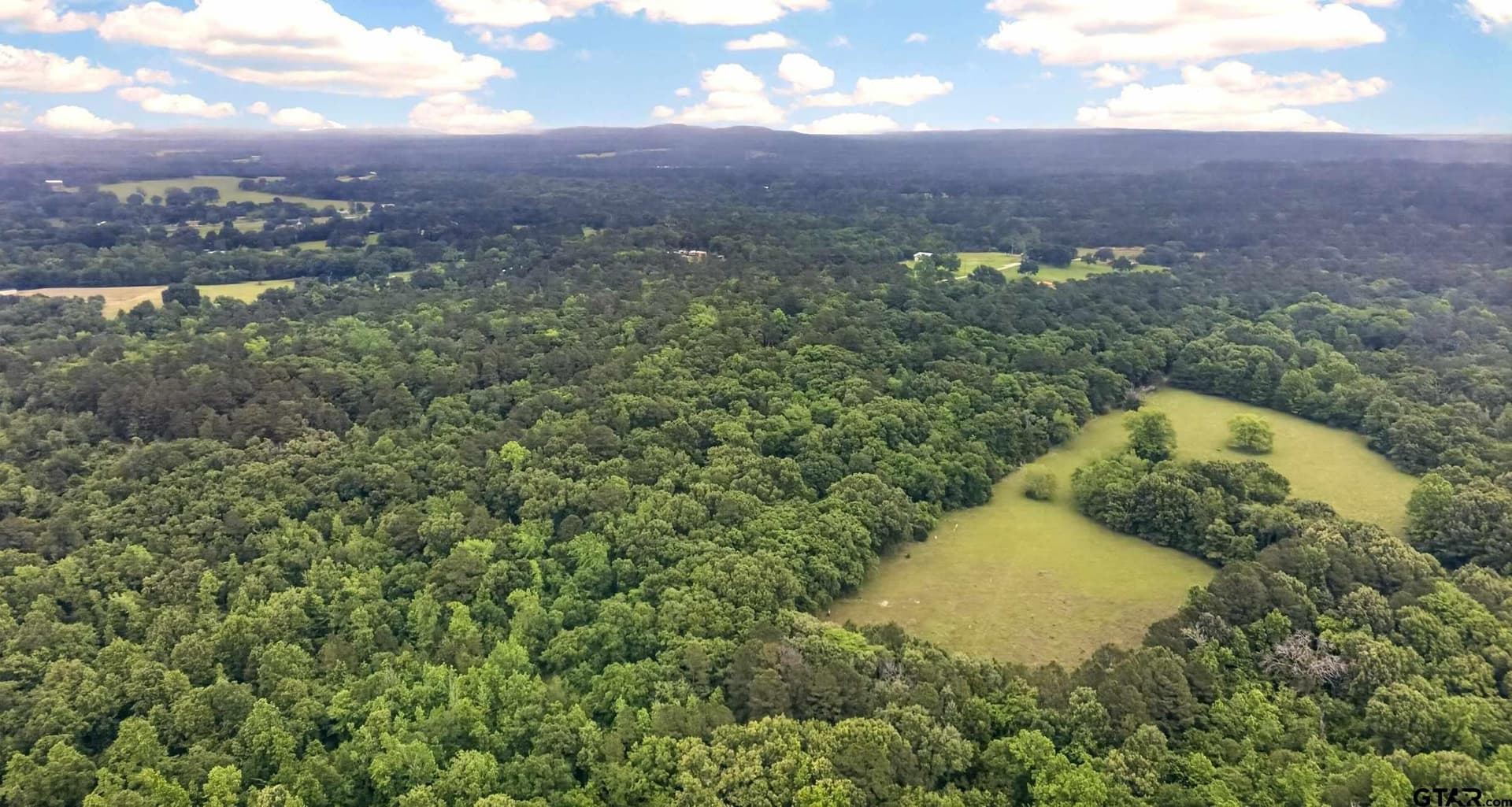26.43 acres in Henderson County gallery image 2