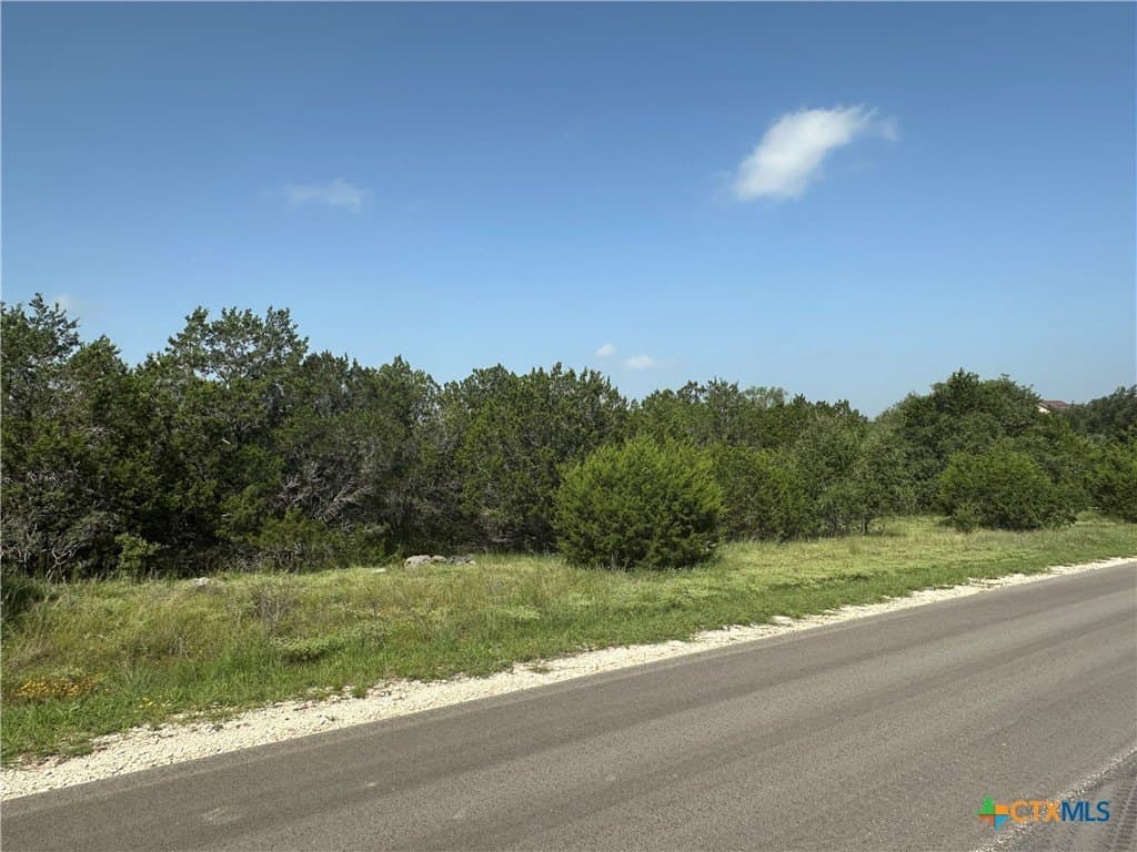 3.86 acres in Comal County gallery image 4