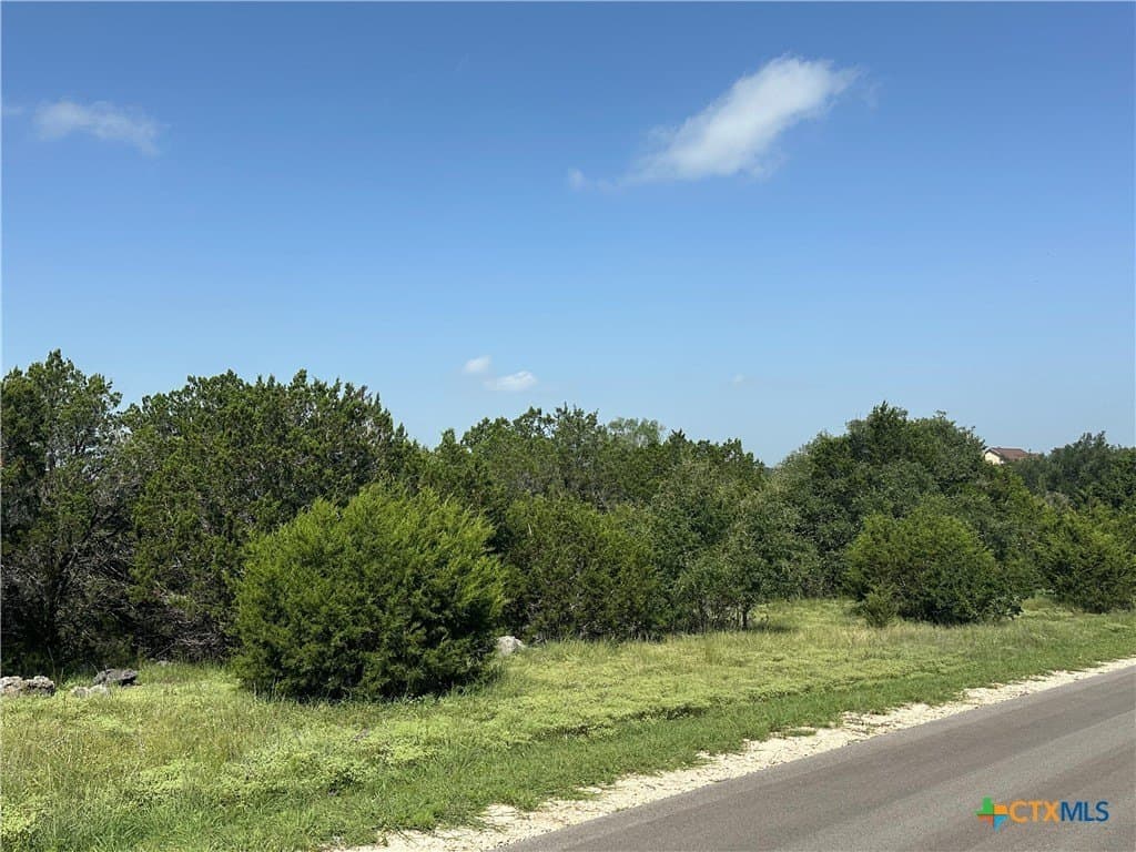3.86 acres in Comal County gallery image 3
