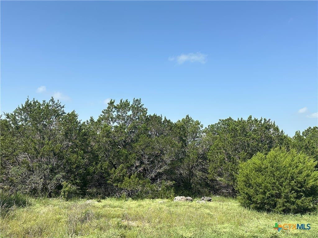 3.86 acres in Comal County gallery image 2