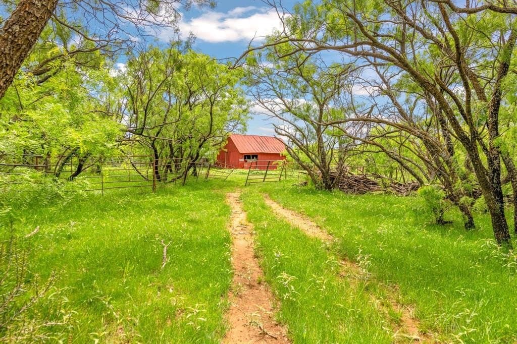 80 acres in Shackelford County featured view