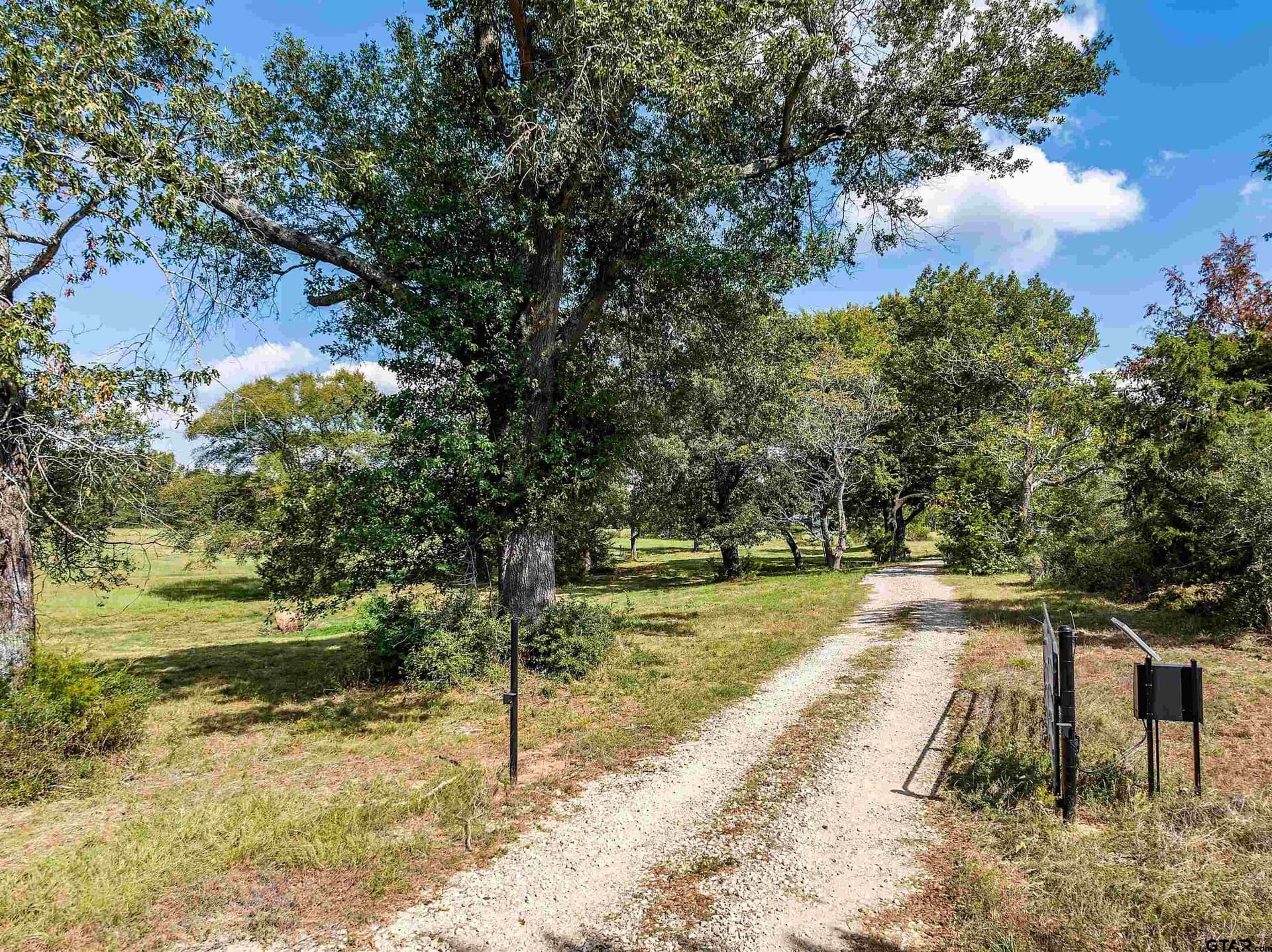 16.88 acres in Smith County gallery image 3