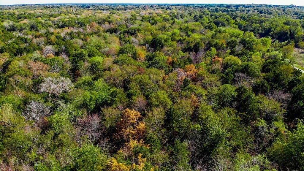 6.2 acres in Navarro County featured view