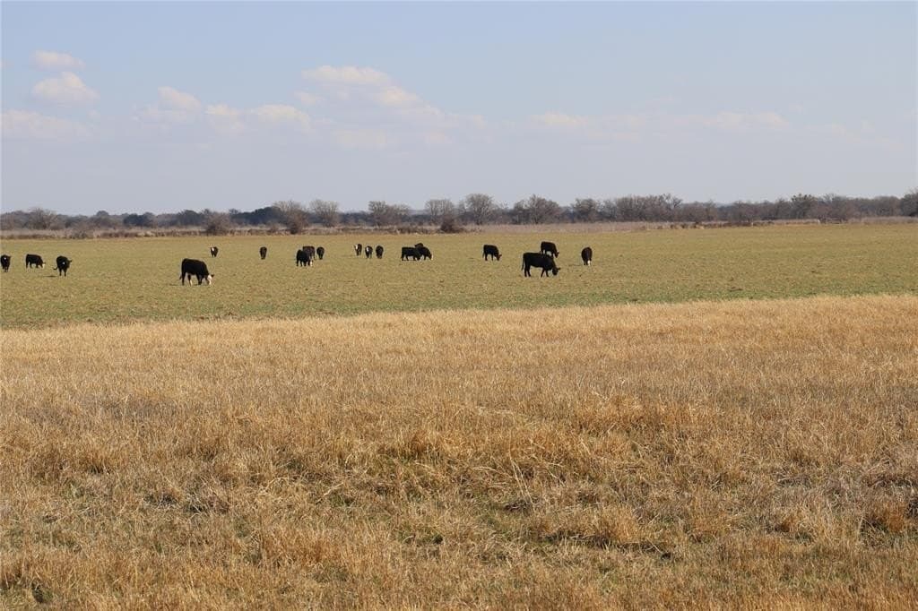 10.6 acres in Comanche County gallery image 3