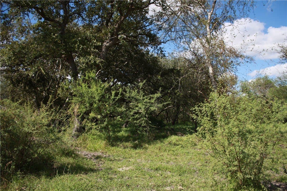 84.17 acres in San Patricio County