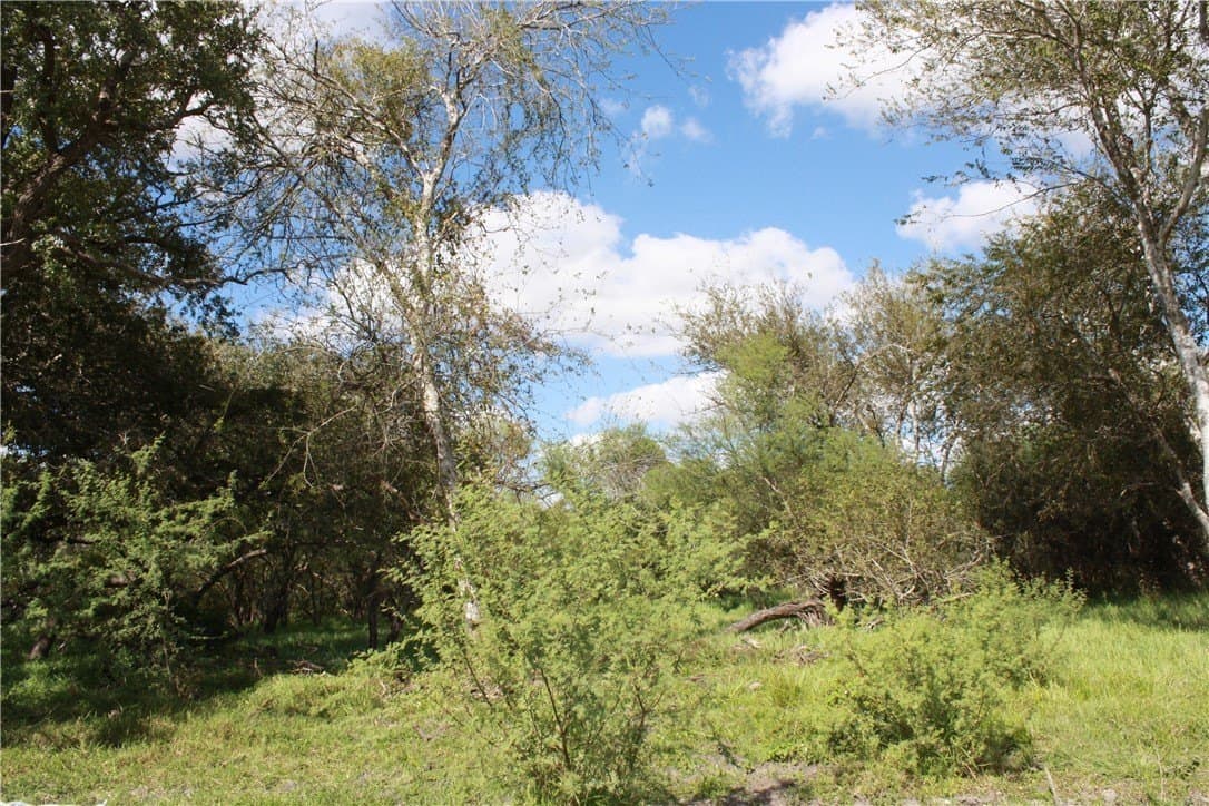 84.17 acres in San Patricio County gallery image 4