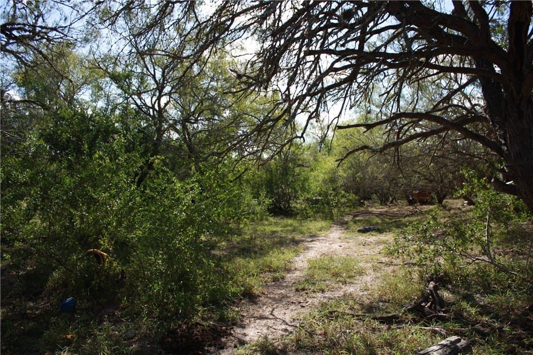 84.17 acres in San Patricio County featured view