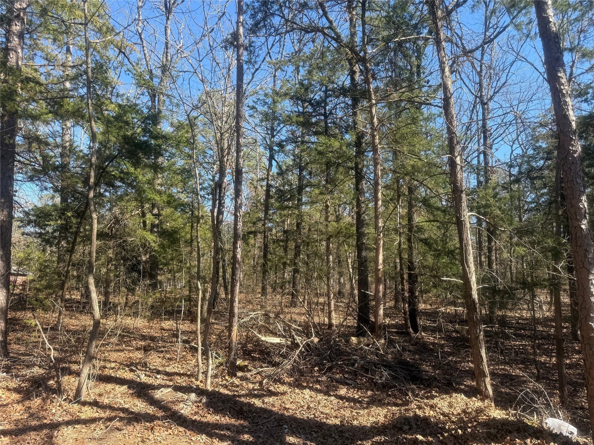 2.12 acres in Lamar County gallery image 2