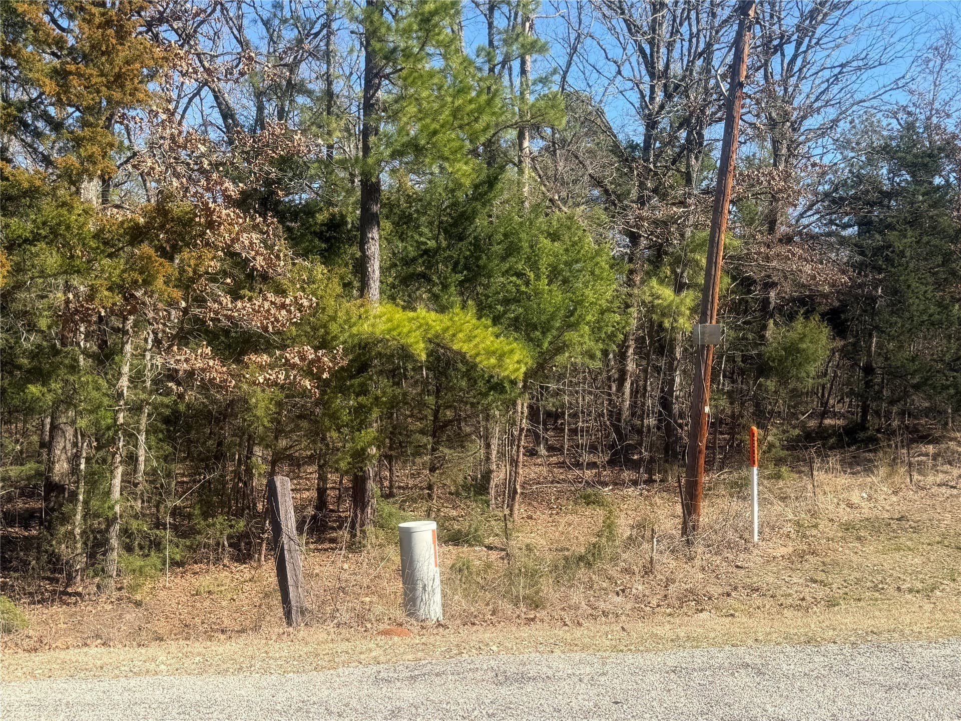 2.12 acres in Lamar County gallery image 4