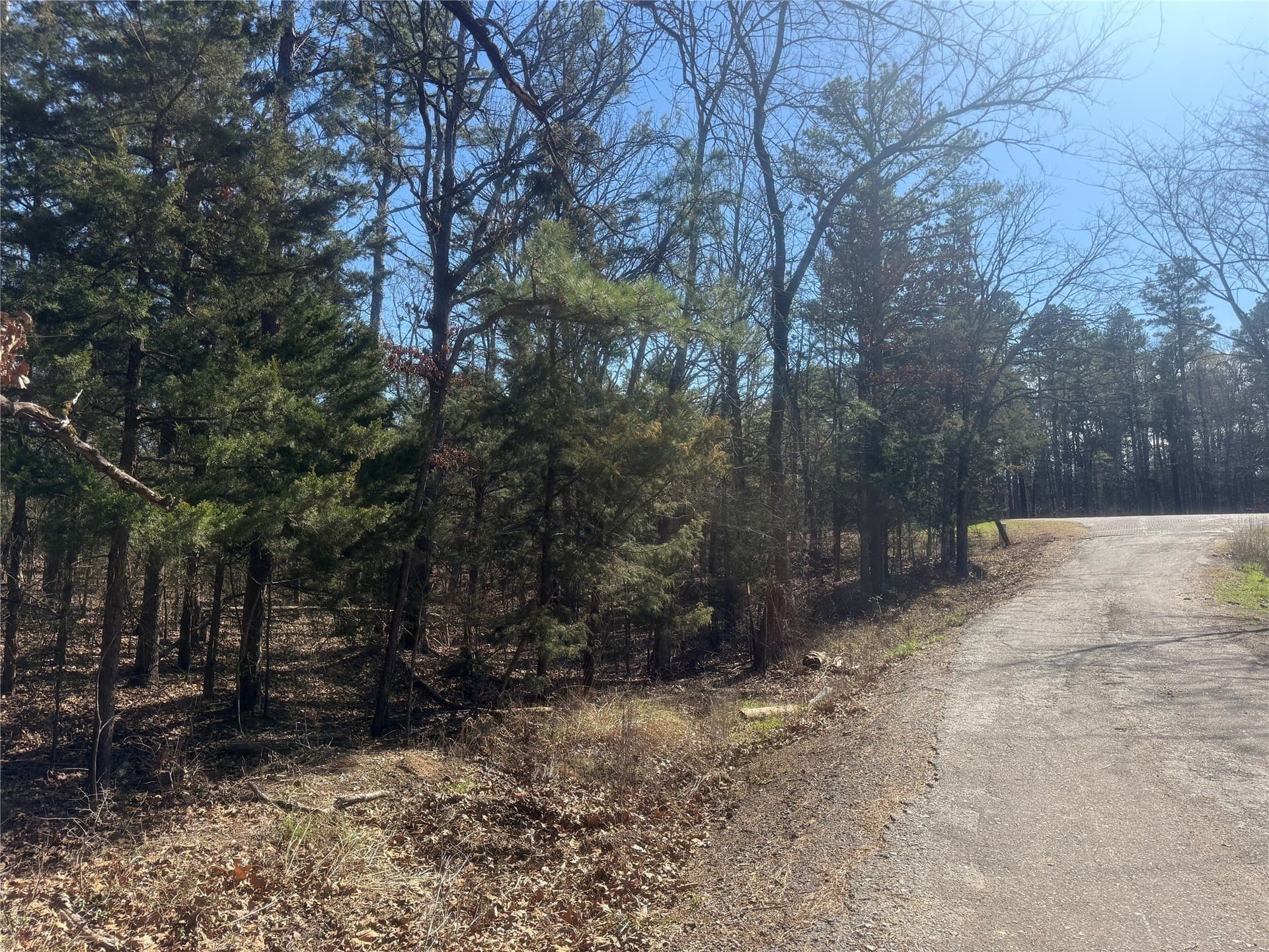 2.12 acres in Lamar County gallery image 3