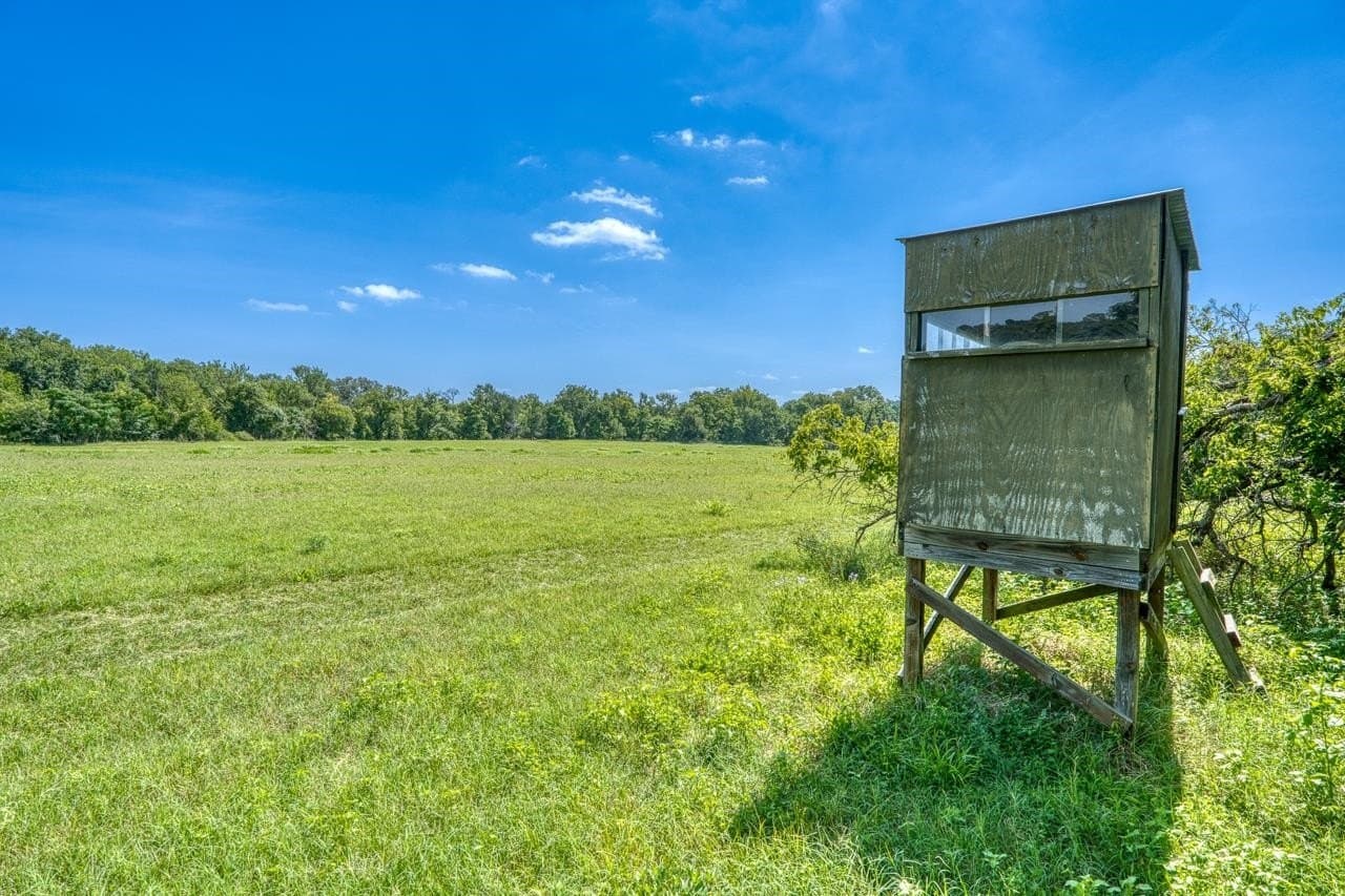 69.16 acres in Bell County - photo 31