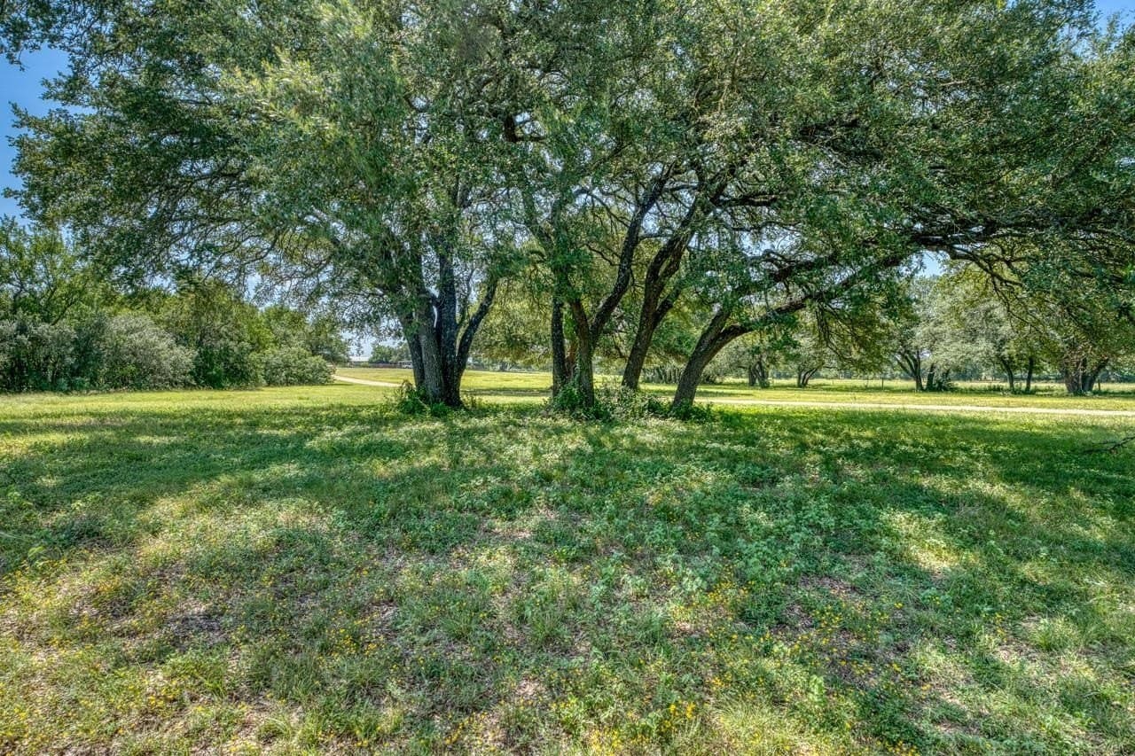69.16 acres in Bell County - photo 39