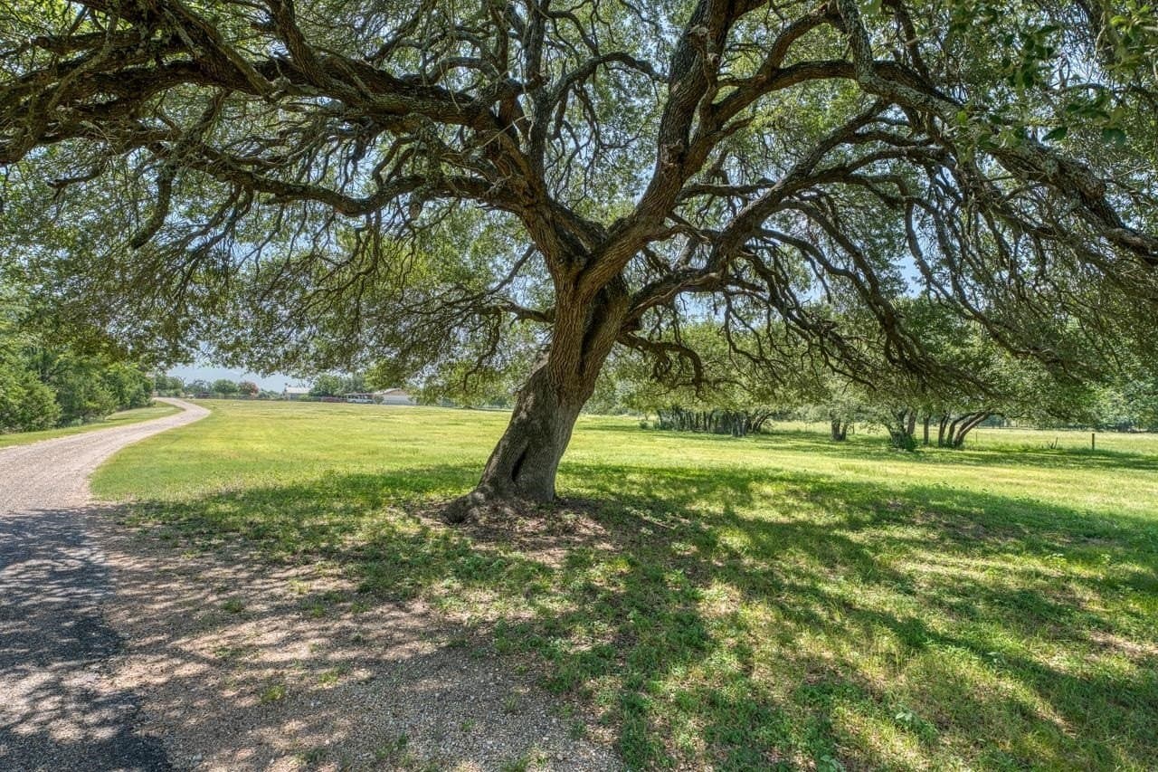 69.16 acres in Bell County - photo 24