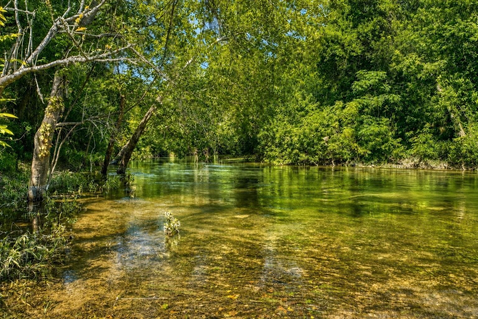 69.16 acres in Bell County