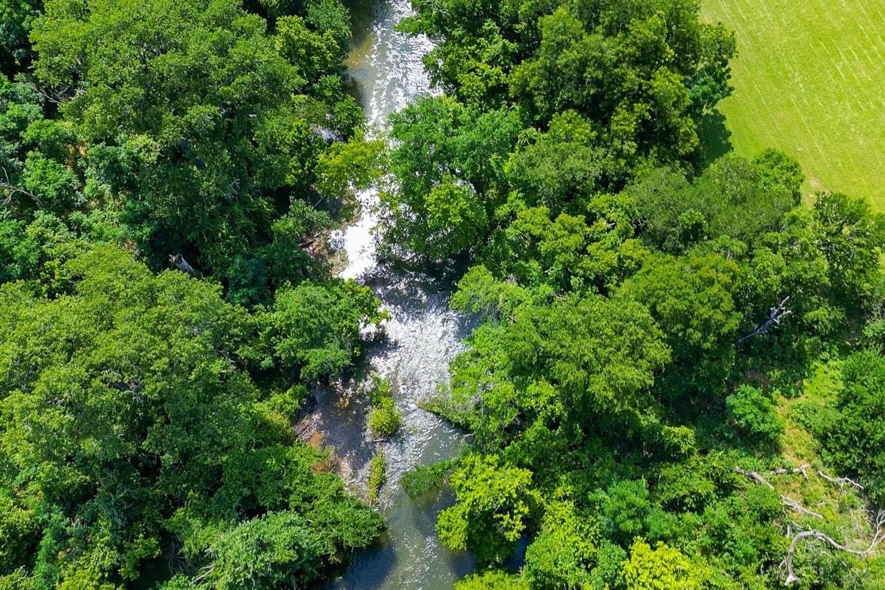 69.16 acres in Bell County gallery image 3