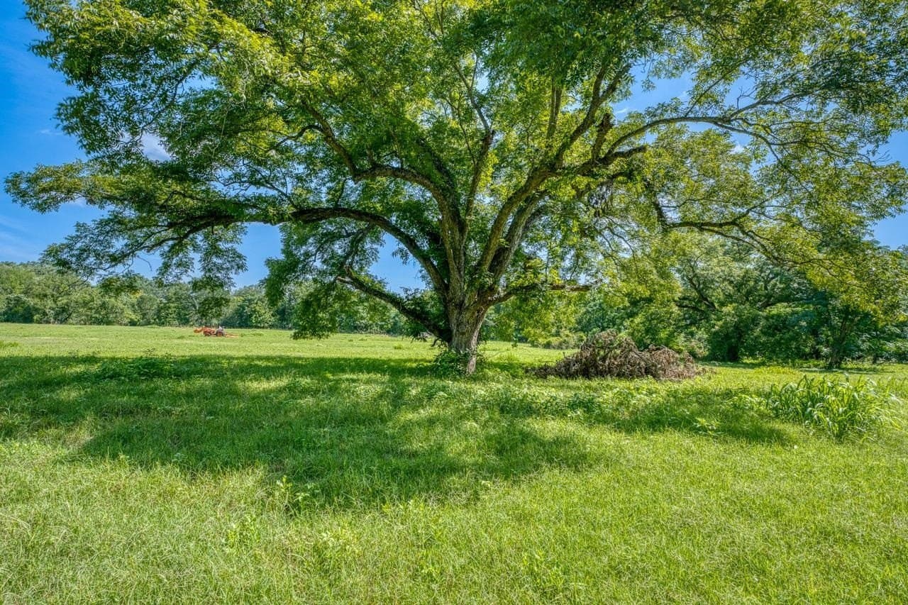 69.16 acres in Bell County - photo 26