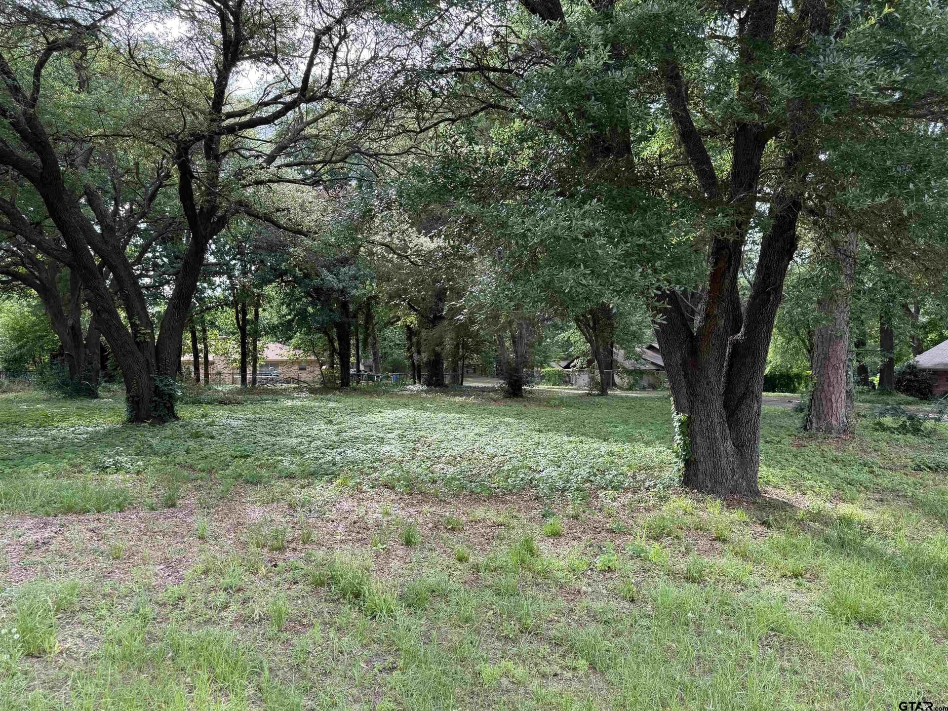 0.37 acres in Wood County gallery image 2