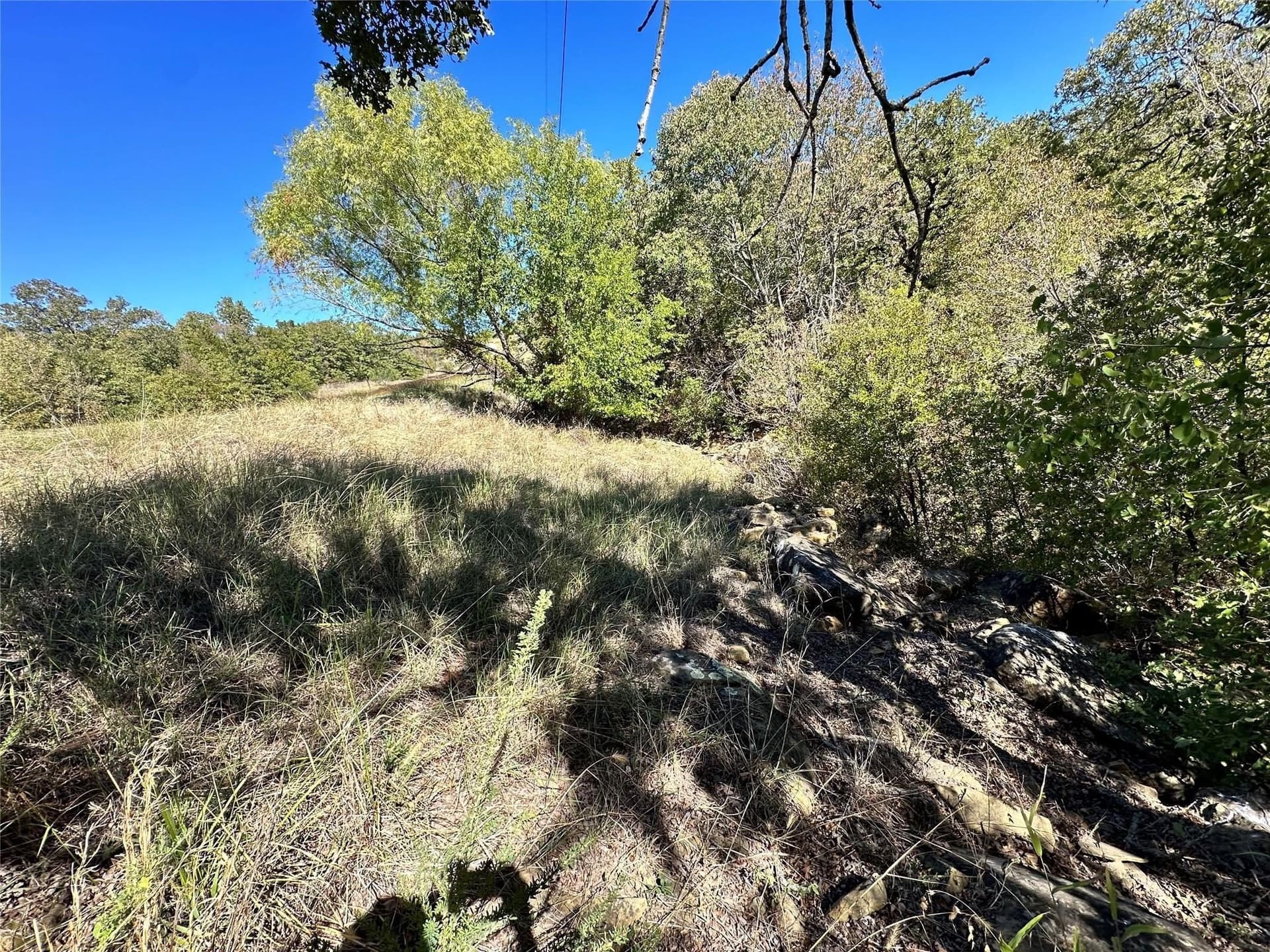 2.01 acres in Montague County gallery image 4