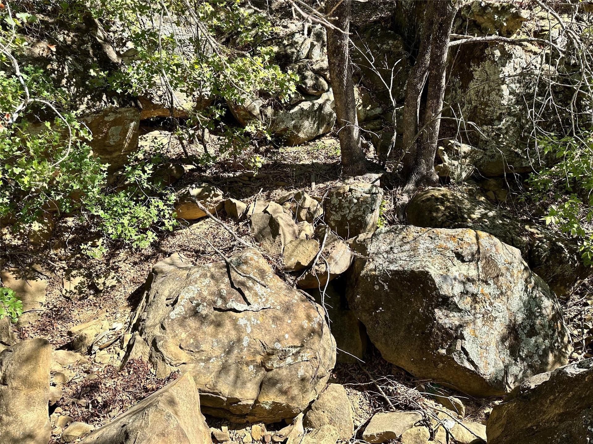 2.01 acres in Montague County - photo 15