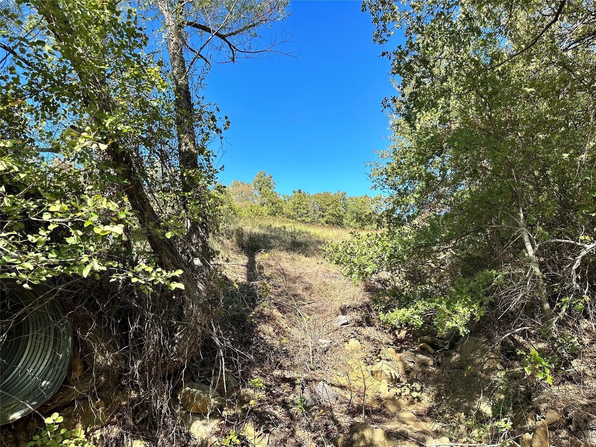 2.01 acres in Montague County - photo 16