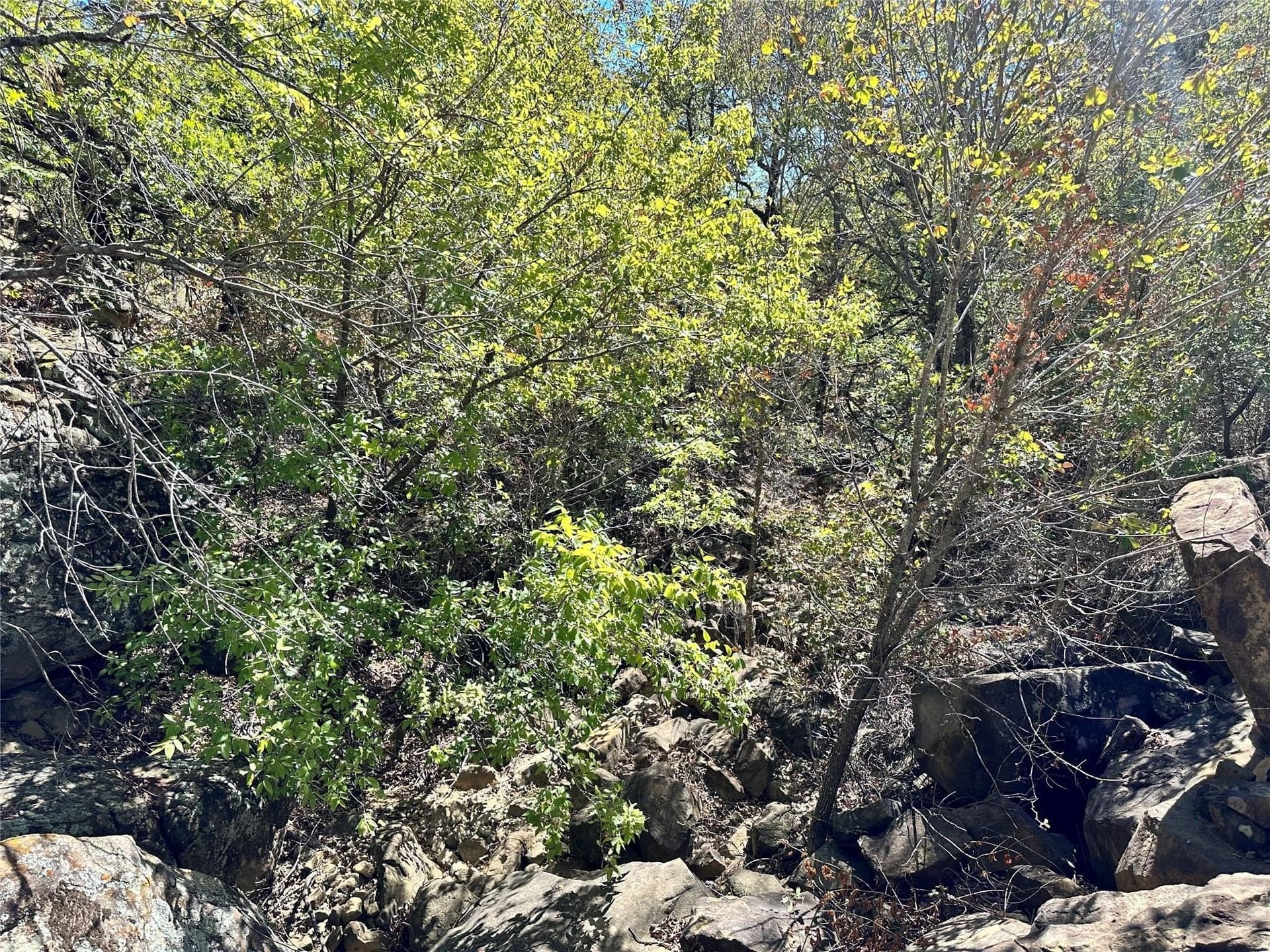 2.01 acres in Montague County - photo 10