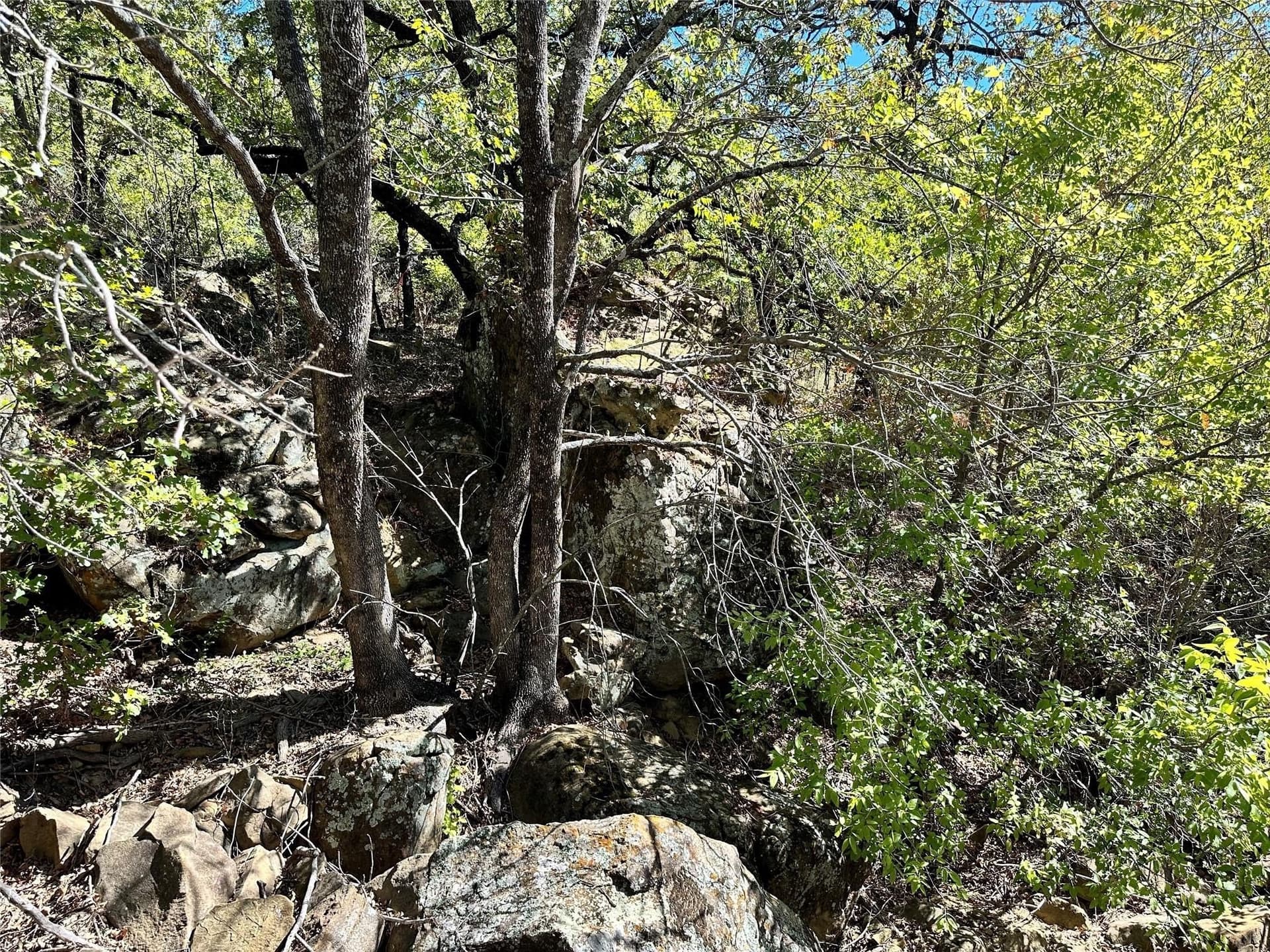 2.01 acres in Montague County - photo 11