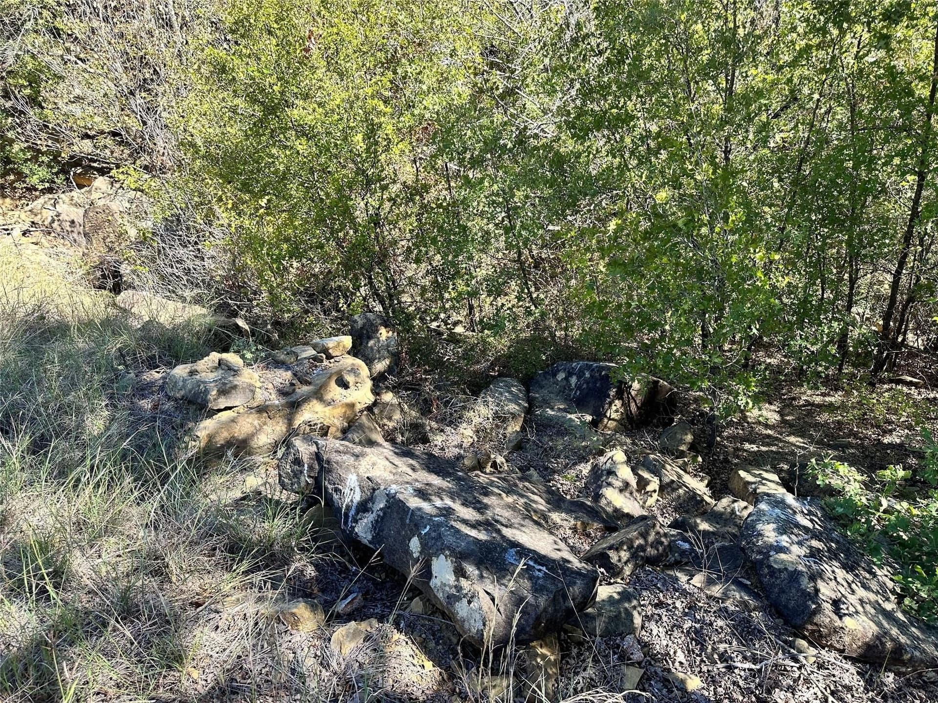 2.01 acres in Montague County - photo 6