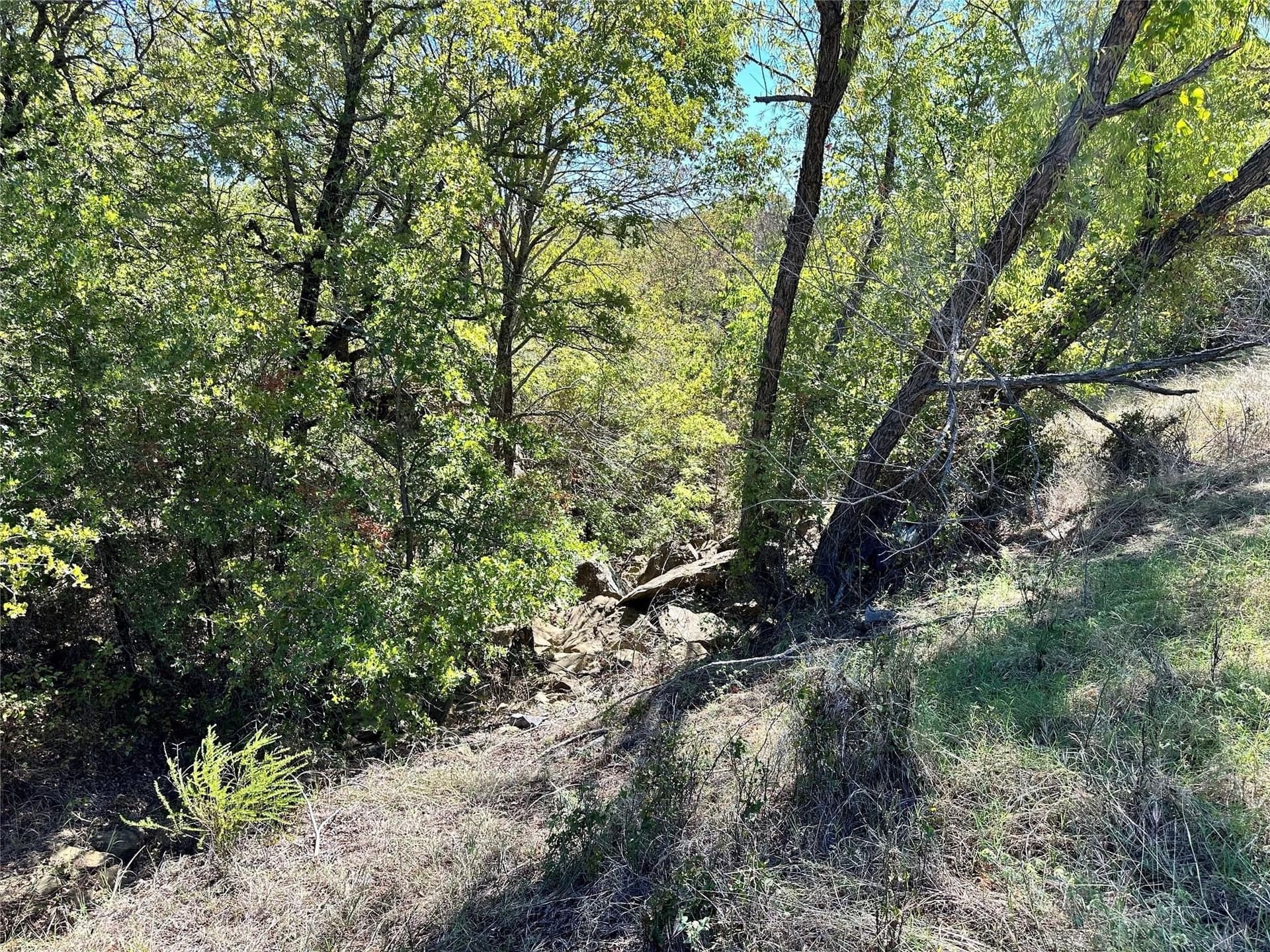 2.01 acres in Montague County - photo 19