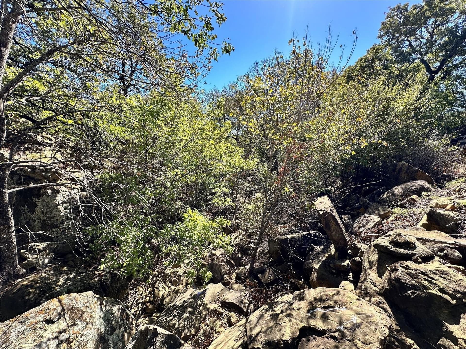 2.01 acres in Montague County - photo 8