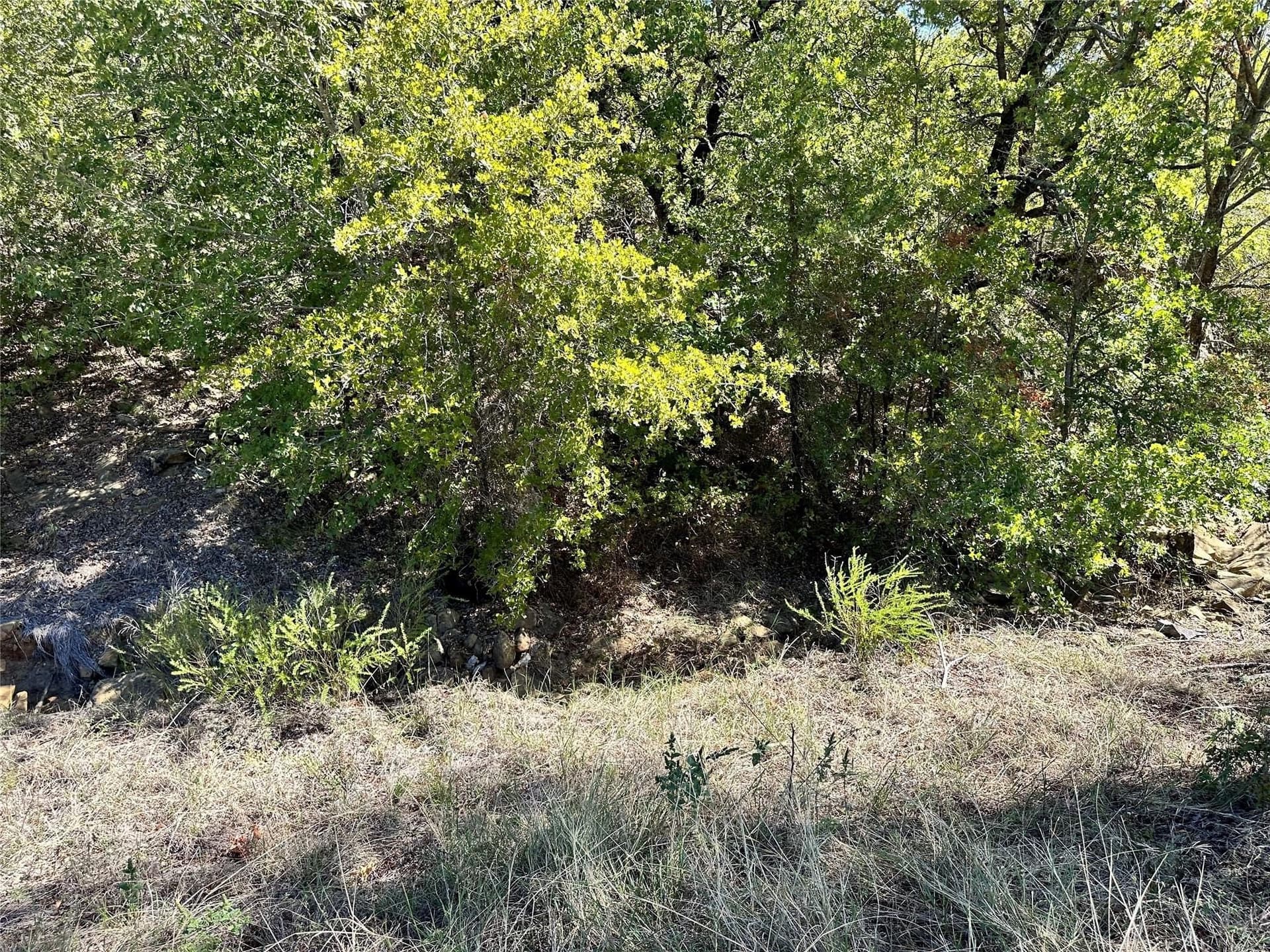 2.01 acres in Montague County - photo 18