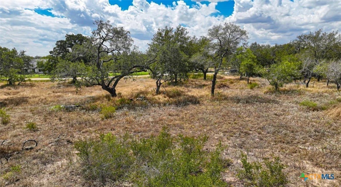 5 acres in Atascosa County gallery image 4