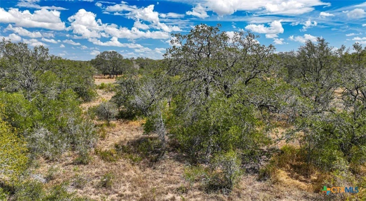 5 acres in Atascosa County featured view