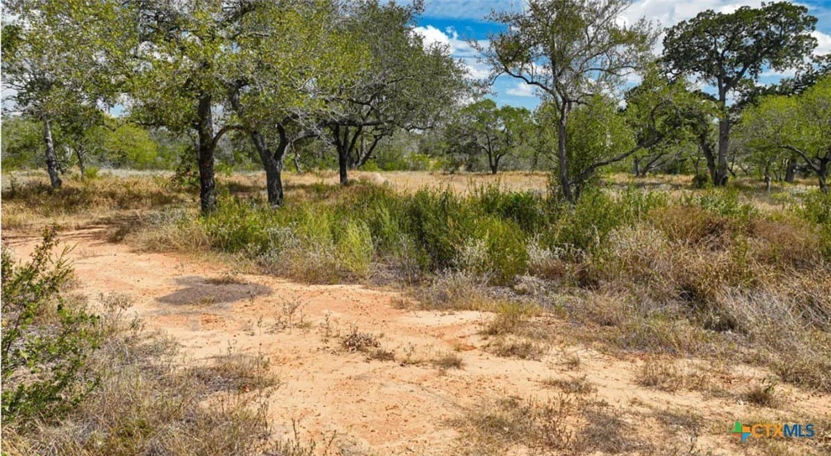 5 acres in Atascosa County - photo 10