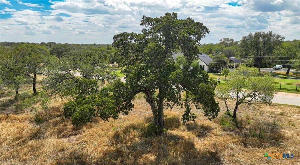 5 acres in Atascosa County gallery image 3