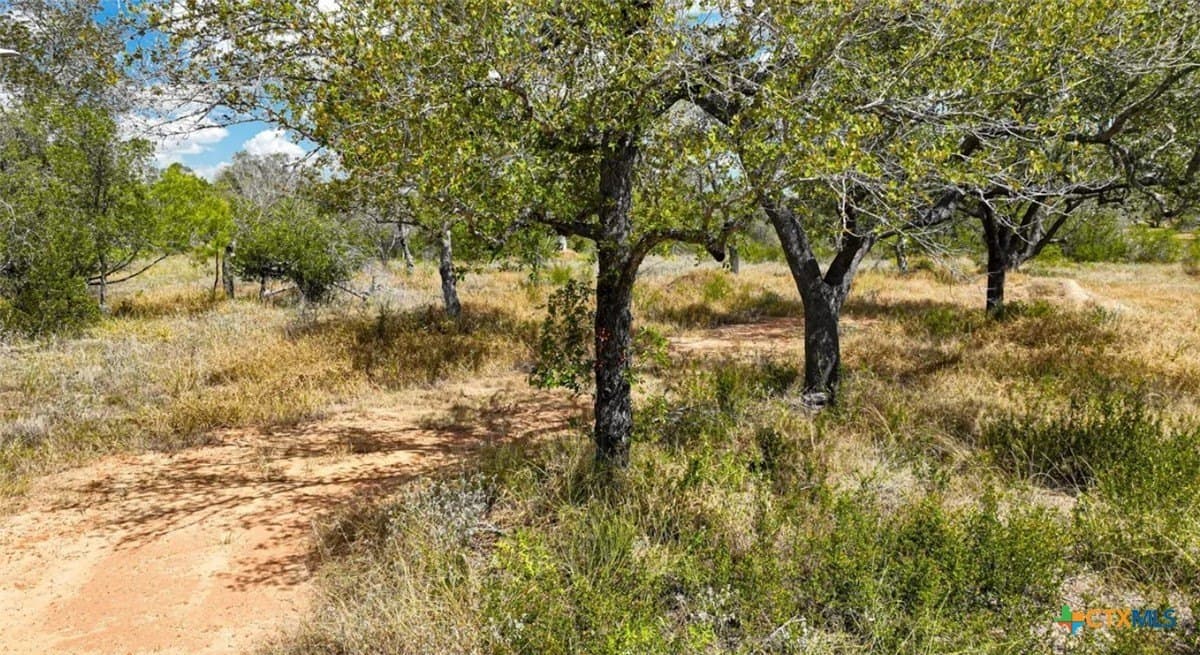 5 acres in Atascosa County - photo 7