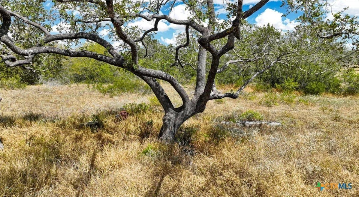 5 acres in Atascosa County - photo 6
