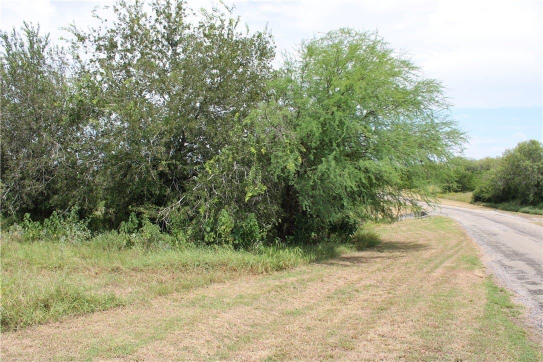 2.32 acres in Live Oak County gallery image 4