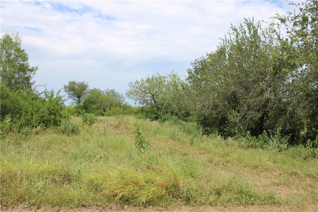 2.32 acres in Live Oak County gallery image 2