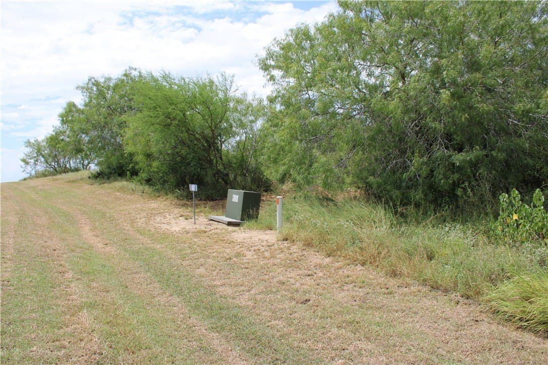 2.32 acres in Live Oak County gallery image 3