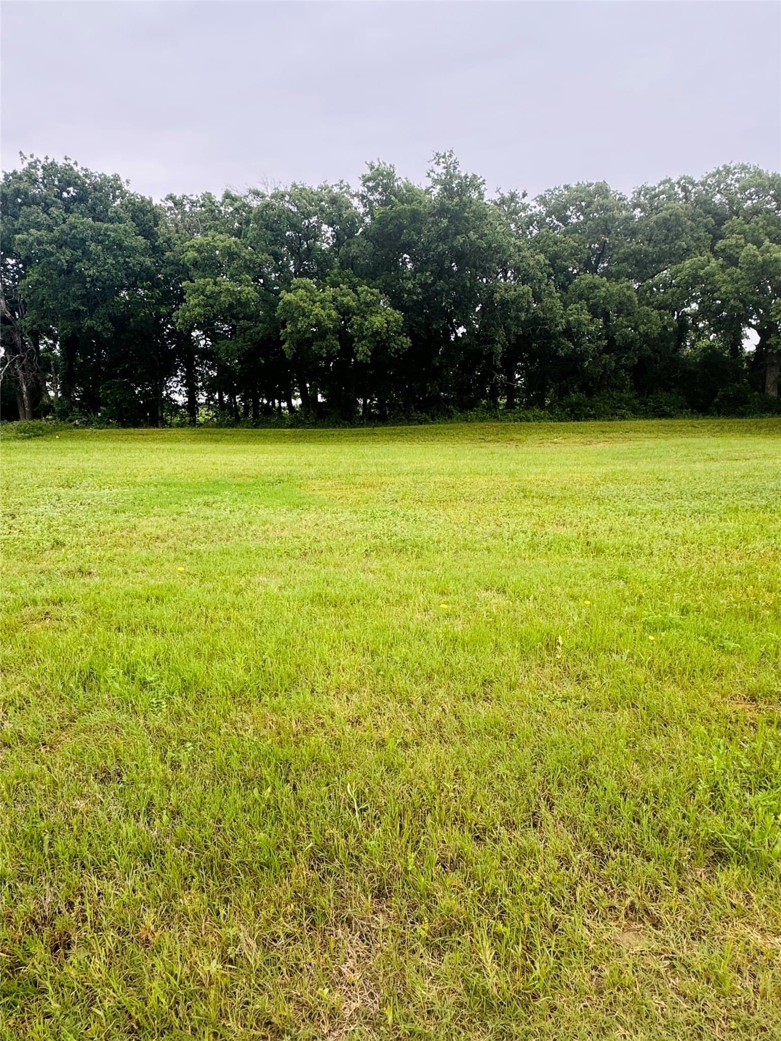 0.18 acres in Johnson County gallery image 3