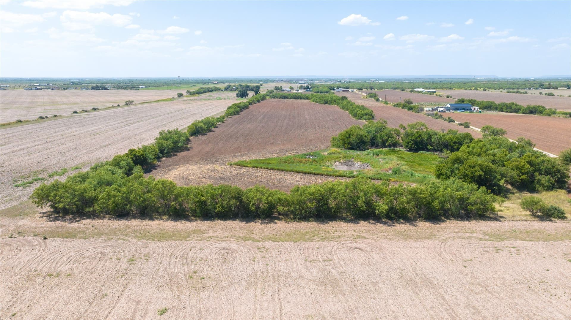 19.43 acres in Taylor County - photo 39