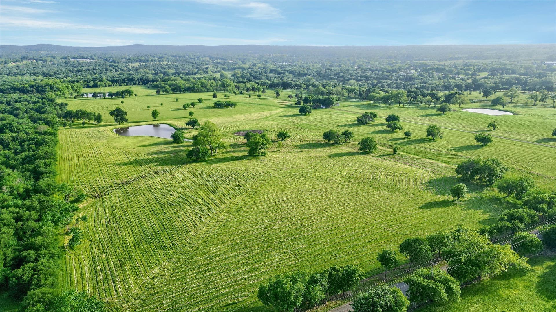 133.63 acres in Grayson County - photo 11
