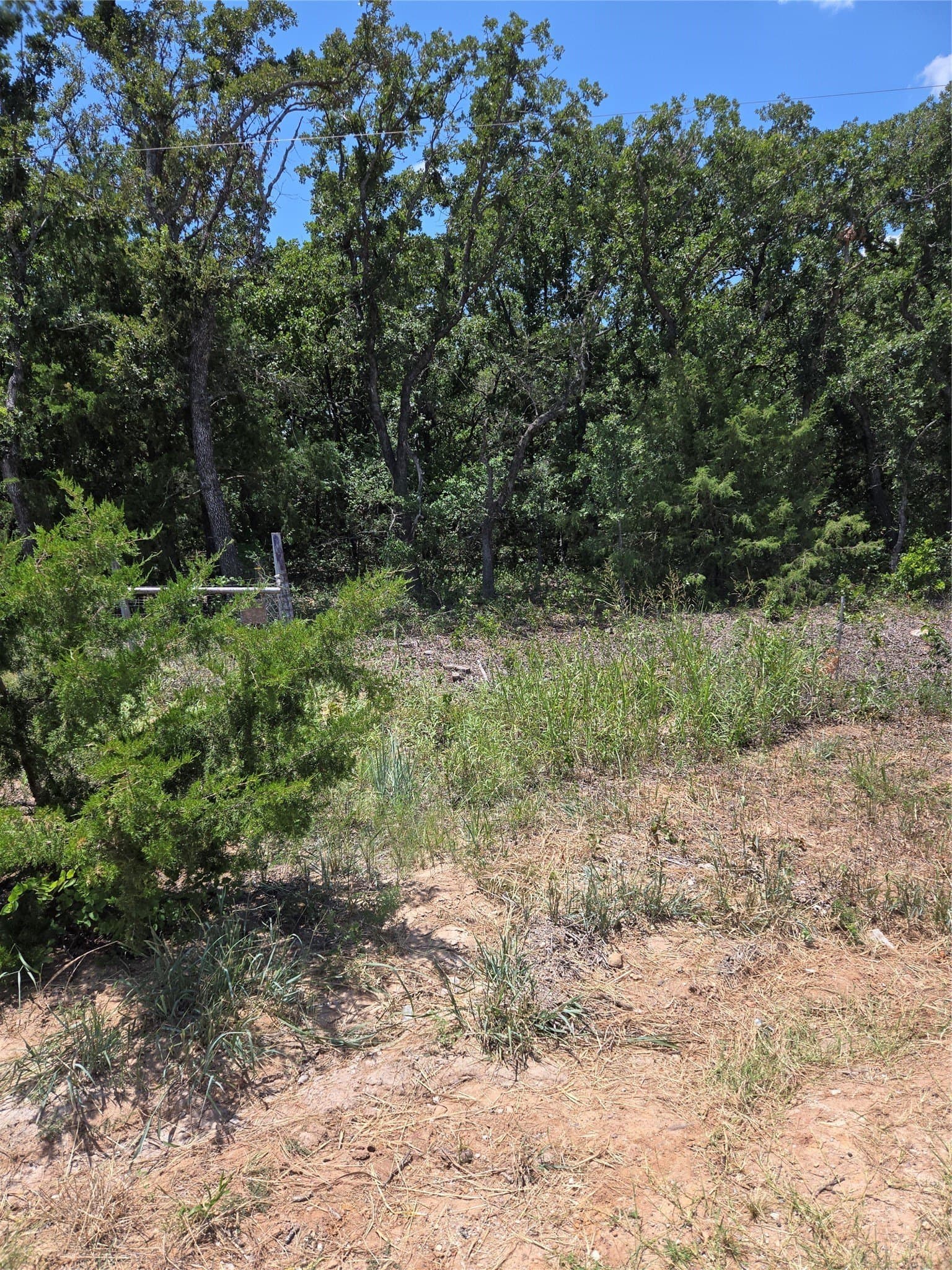 5.43 acres in Montague County - photo 6